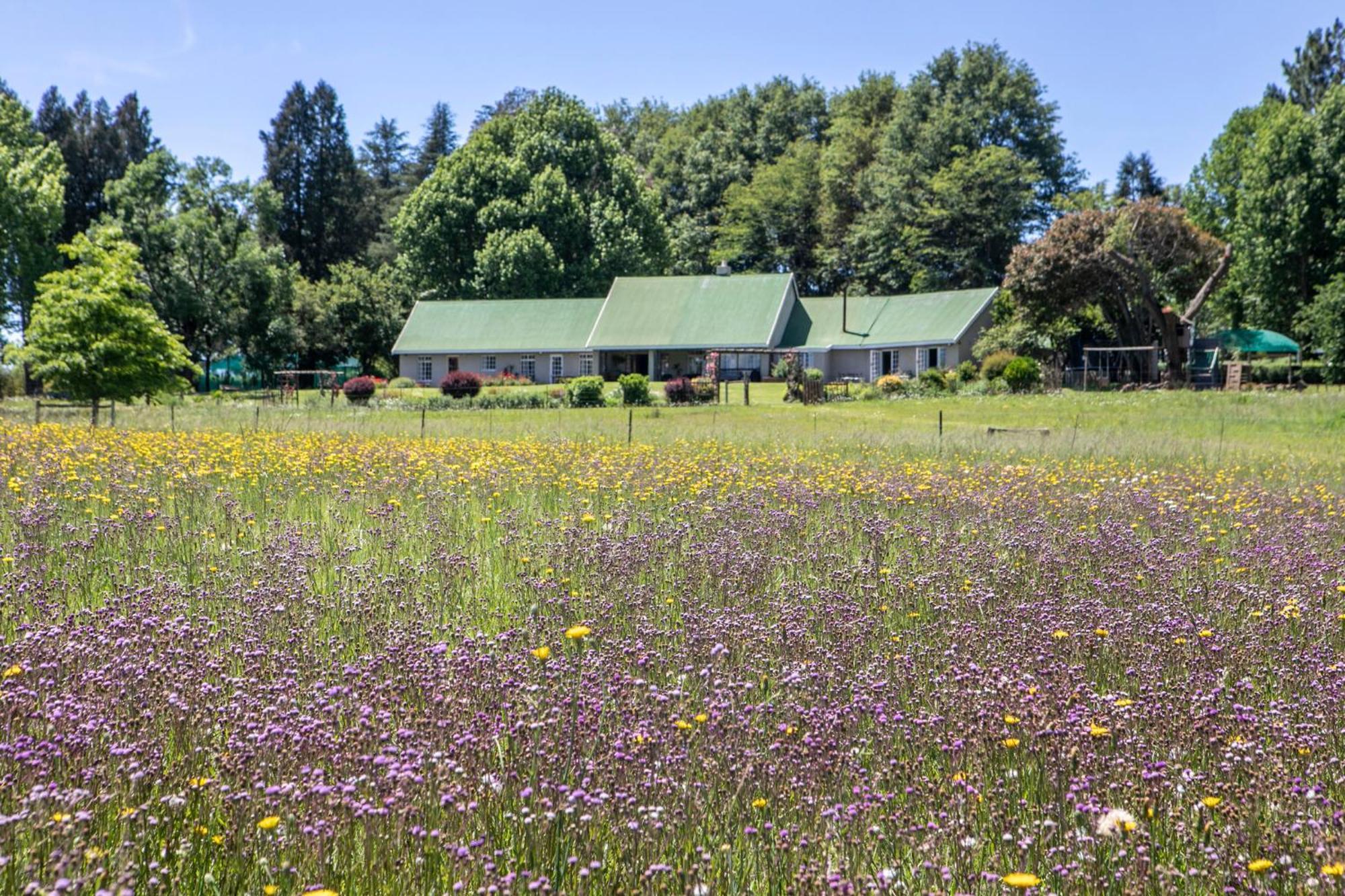 Khanyeni Himeville Exterior foto